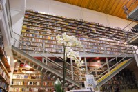 /album/galeria-de-fotos/ld-2-jpg/